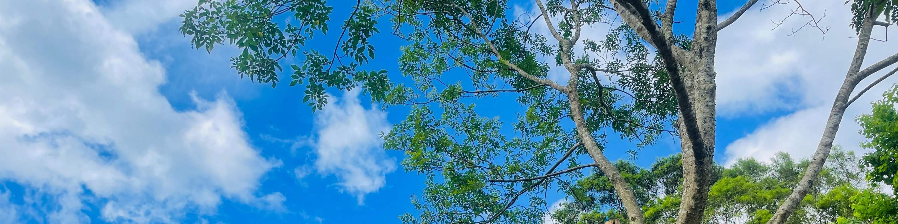 Camping à Yilan｜Tribu Atayal Dongyue BULABUAL KC Village｜Camping de luxe sans installation	